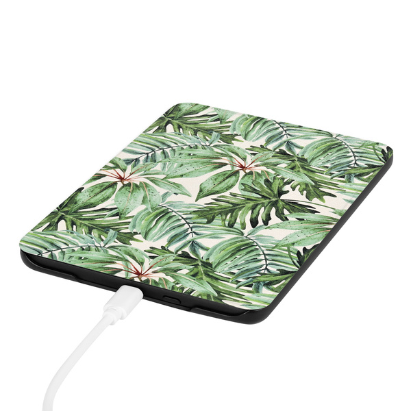 Etui Graficzne do Kindle Paperwhite 6 / Kindle Paperwhite Colorsoft / Signature Edition 2024 7 - ochronne