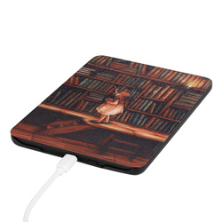 Etui Graficzne do Kindle Paperwhite 6 / Kindle Paperwhite Colorsoft / Signature Edition 2024 7 - ochronne