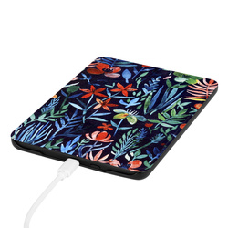 Etui Graficzne do Kindle Paperwhite 6 / Kindle Paperwhite Colorsoft / Signature Edition 2024 7 - ochronne
