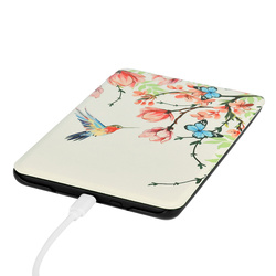 Etui Graficzne do Kindle Paperwhite 6 / Kindle Paperwhite Colorsoft / Signature Edition 2024 7 - ochronne