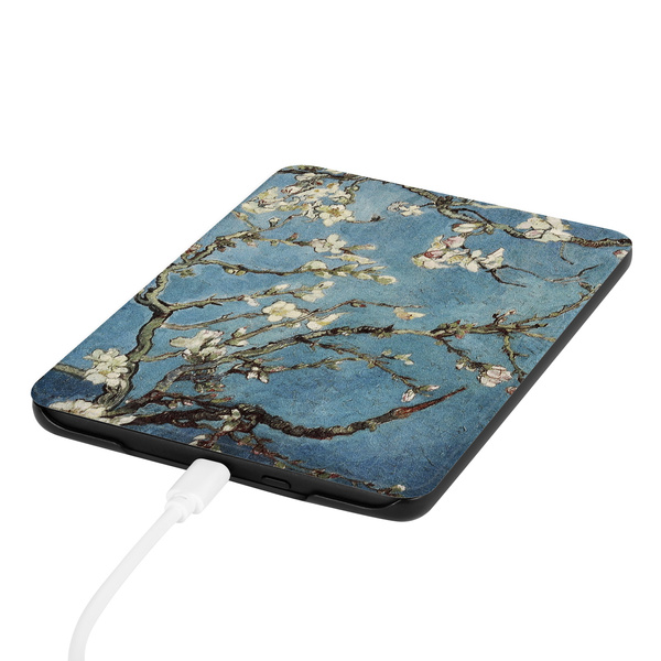 Etui Graficzne do Kindle Paperwhite 6 / Kindle Paperwhite Colorsoft / Signature Edition 2024 7 - ochronne