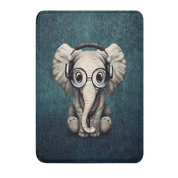 Etui Graficzne do Kindle Paperwhite 6 / Kindle Paperwhite Colorsoft / Signature Edition 2024 7 - ochronne