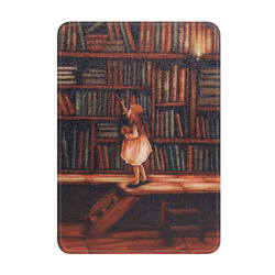 Etui Graficzne do Kindle Paperwhite 6 / Kindle Paperwhite Colorsoft / Signature Edition 2024 7 - ochronne