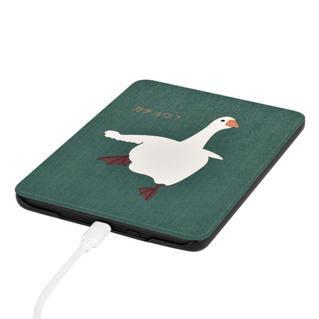 Etui graficzne do Kindle Paperwhite 6 / Kindle Paperwhite Colorsoft / Signature Edition - ochronne