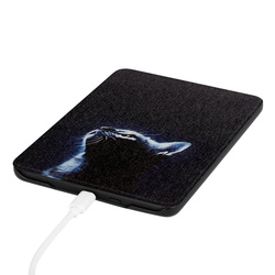 Etui Graficzne do Kindle Paperwhite 6 / Kindle Paperwhite Colorsoft / Signature Edition 2024 7 - ochronne