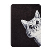 Etui graficzne Kindle Paperwhite 6/ Colorsoft/ Signature Edition - White Cat