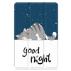 Etui Graphic Redmi Pad PRO 2 12.1 2025 - Night Cat