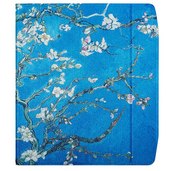 Etui Smart graficzne na czytnik Pocketbook Era 7 PB700 Color magnes